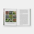 Hummelo: A Journey Through a Plantsman's Life