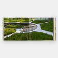 Beyond Wild: Gardens and Landscapes by Raymond Jungles