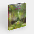 The Garden: Elements and Styles