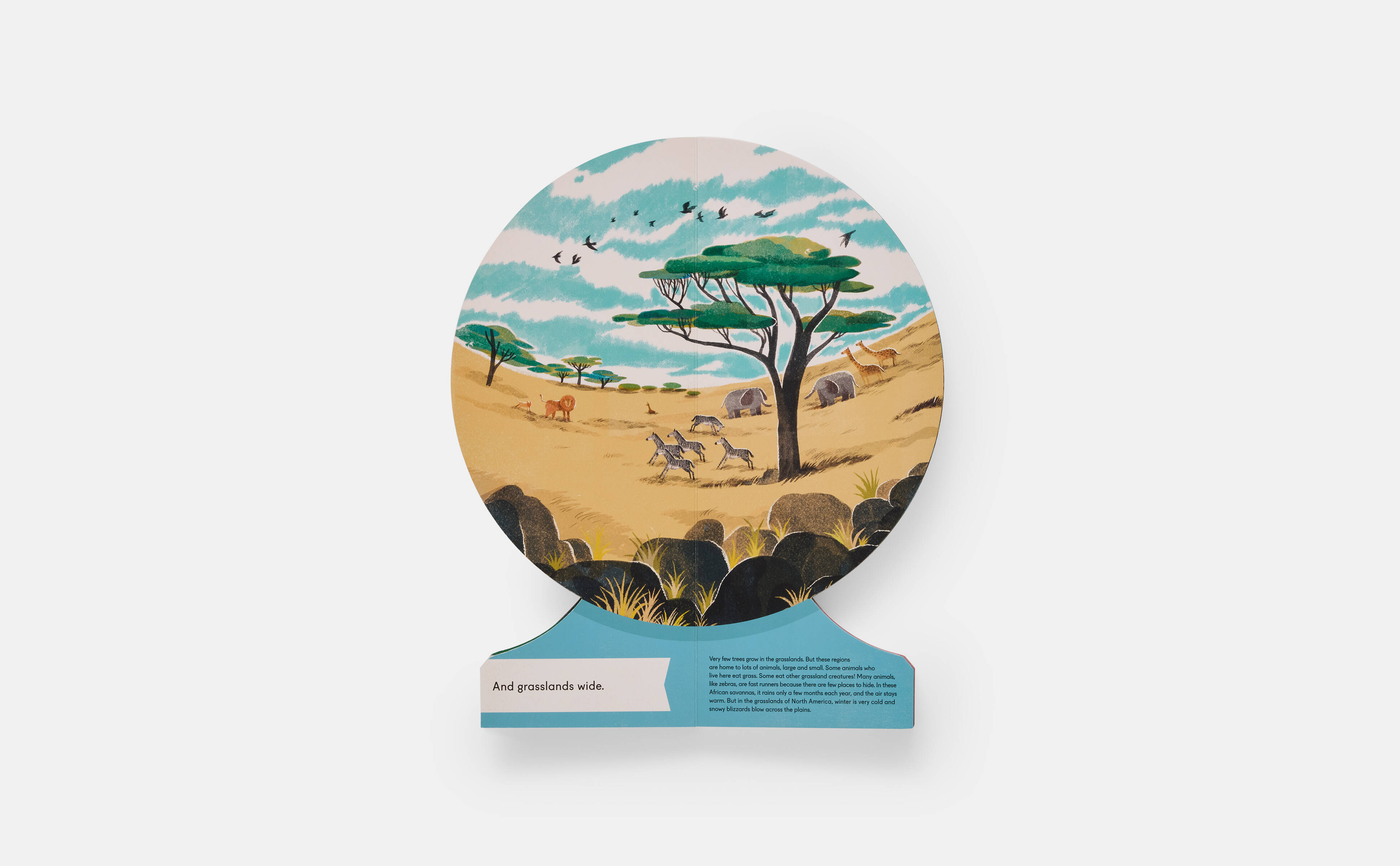 Meet the Phaidon Kids illustrator - Lisk Feng