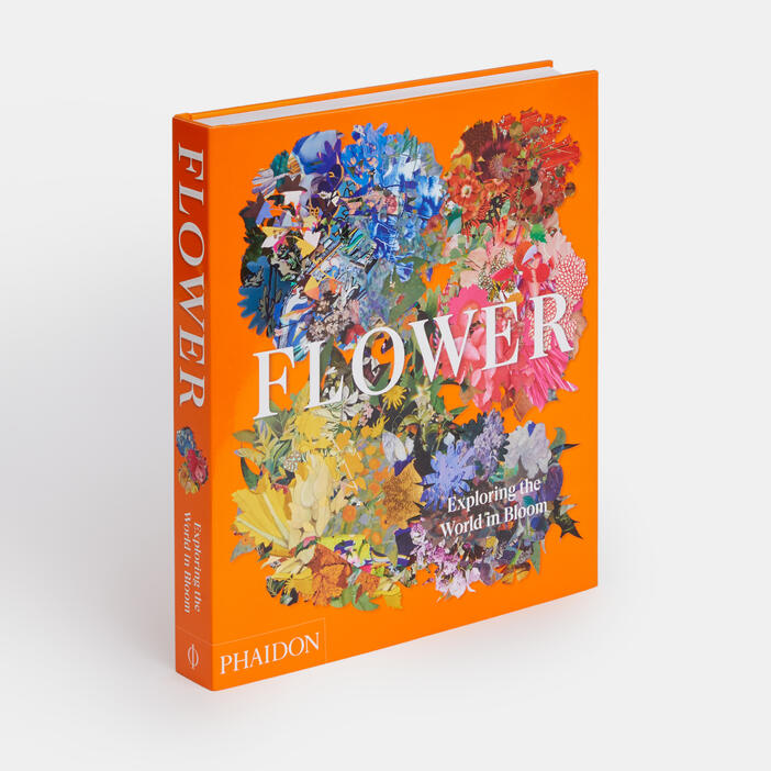 Modern Flowers: How to Draw Books for Kids [Book]