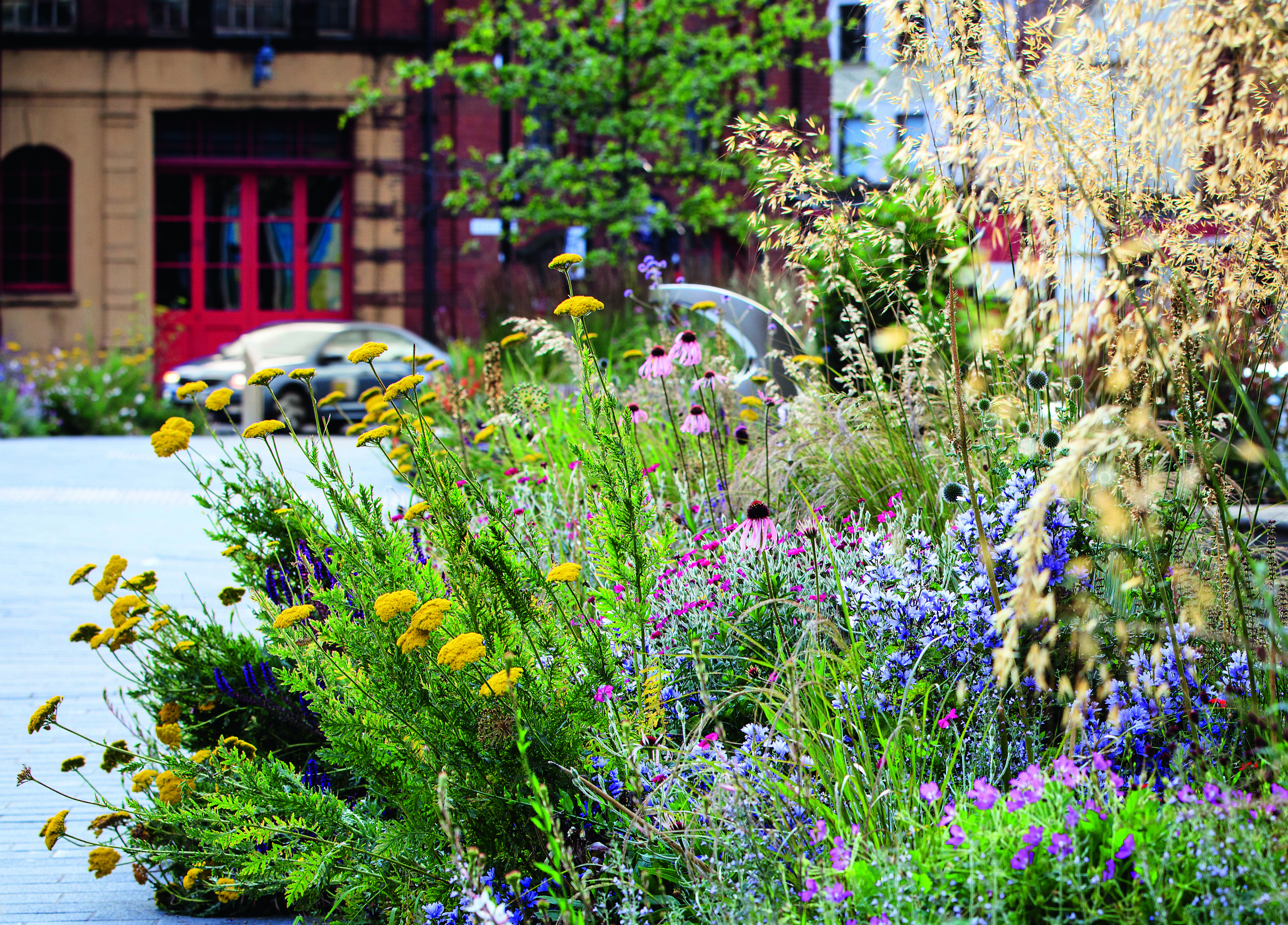 Grey to Green City Garden, Sheffield, South Yorkshire, England. Designer: Zac Tudor and Sheffield City Council landscape team. Photography by Claire Takacs. From Wild: The Naturalistic Garden