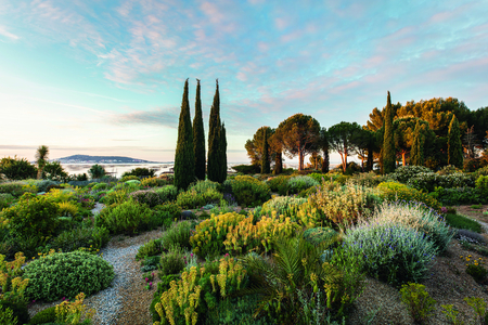 Le Jardin Sec, Mèze, France. Designer: Olivier Filippi. Photography by Claire Takacs