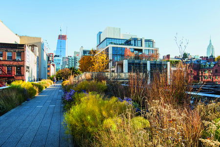  High Line, Manhattan, New York City, New York, USA. Designer: James Corner Field Operations, Diller Scoficio + Renfro, and Piet Oudolf. Photography by Claire Takacs