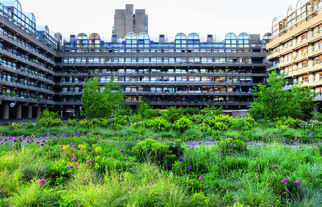 Barbican Estate, London, England. Designer: Nigel Dunnett. Photography by Claire Takacs 