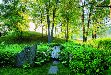 Innisfree, Millbrook, New York, USA. Designer: Lester Collins, with Walter and Marion Beck; Curator, Kate Kerin. Photography by Claire Takacs