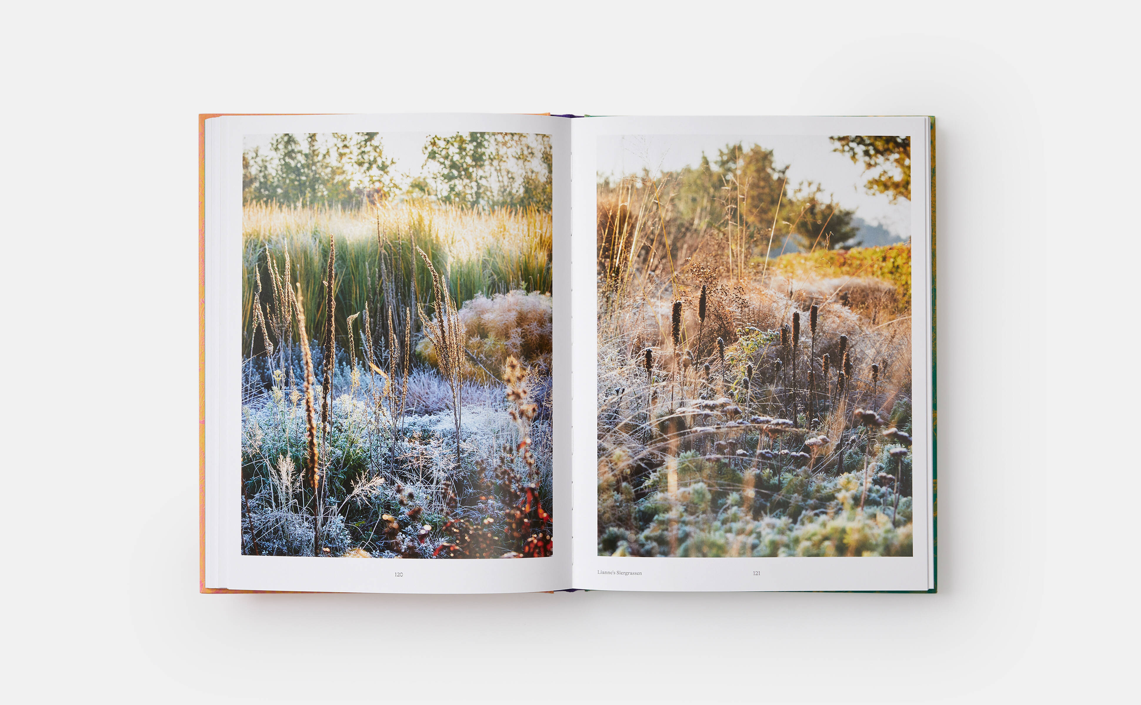 Phaidon's Gardens 100