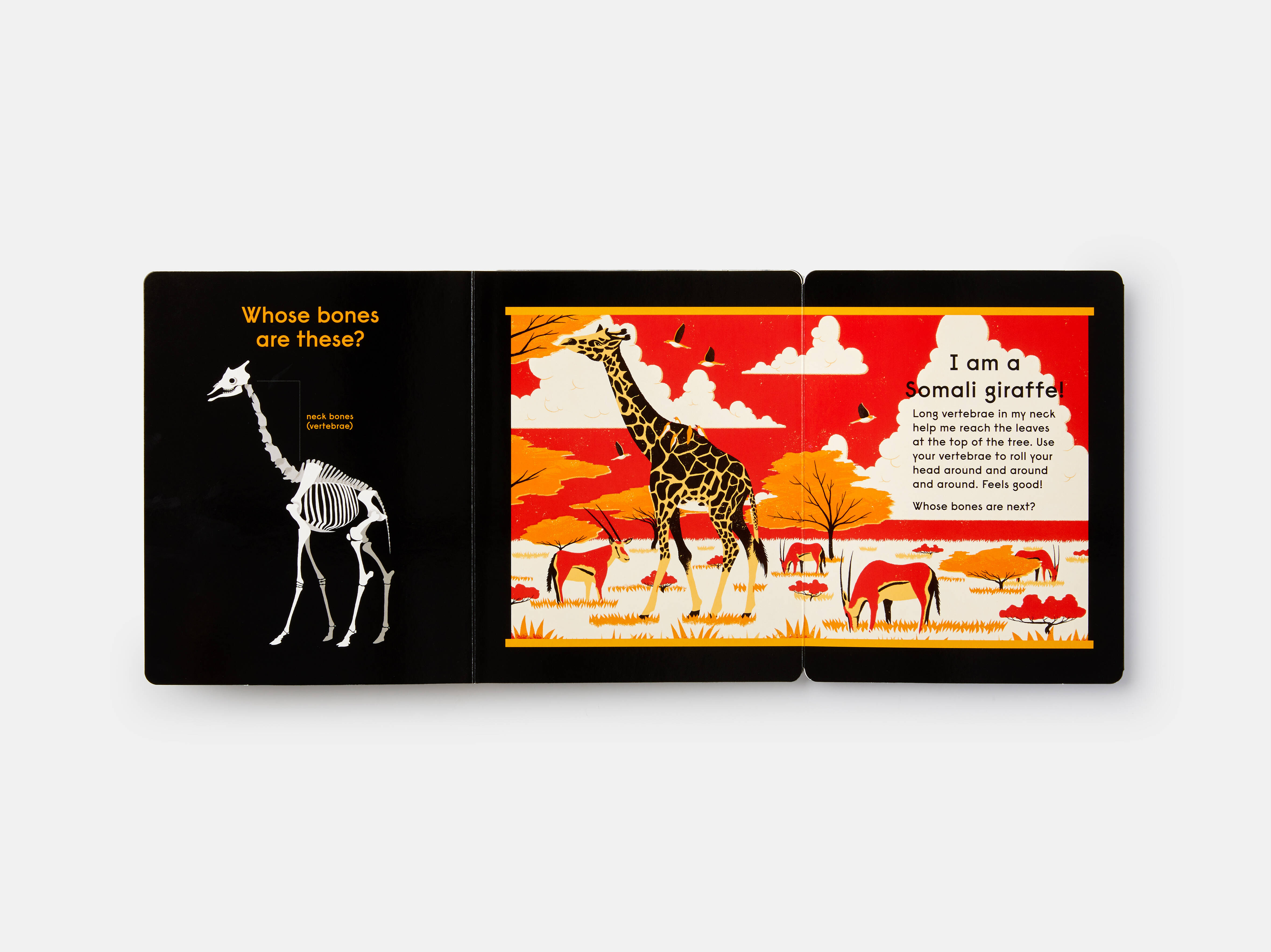 Meet the Phaidon Kids illustrator - Sam Brewster