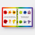 Rainbows in Bloom