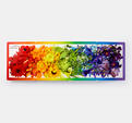 Rainbows in Bloom