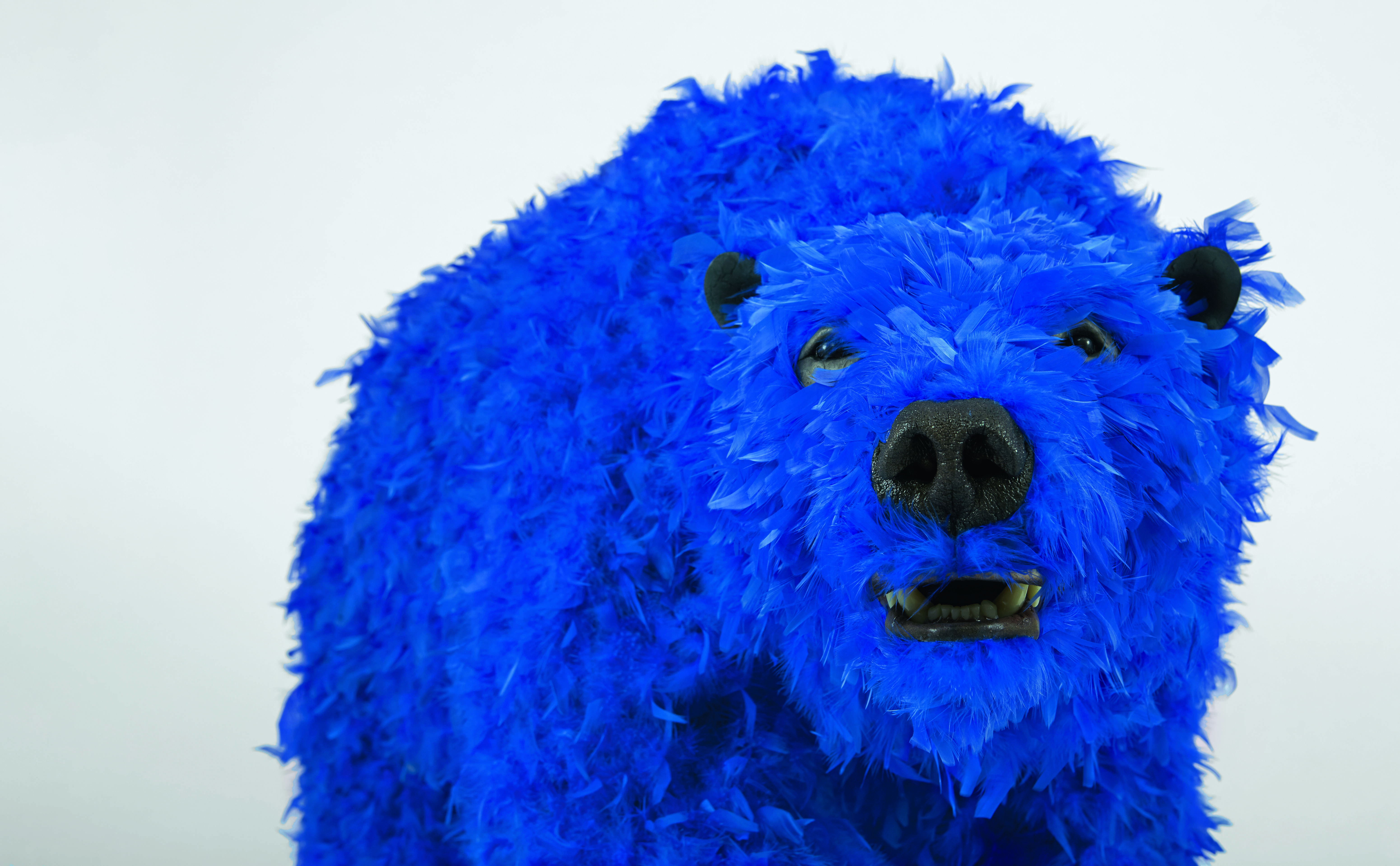 The dark truth about Paola Pivi’s brightly coloured bears