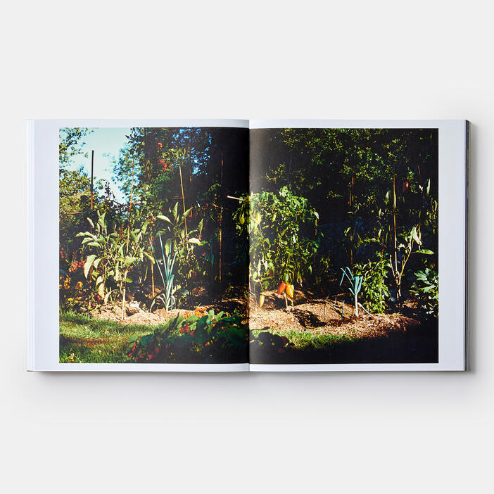Septime, La Cave, Clamato, D'une île (Signed Edition)