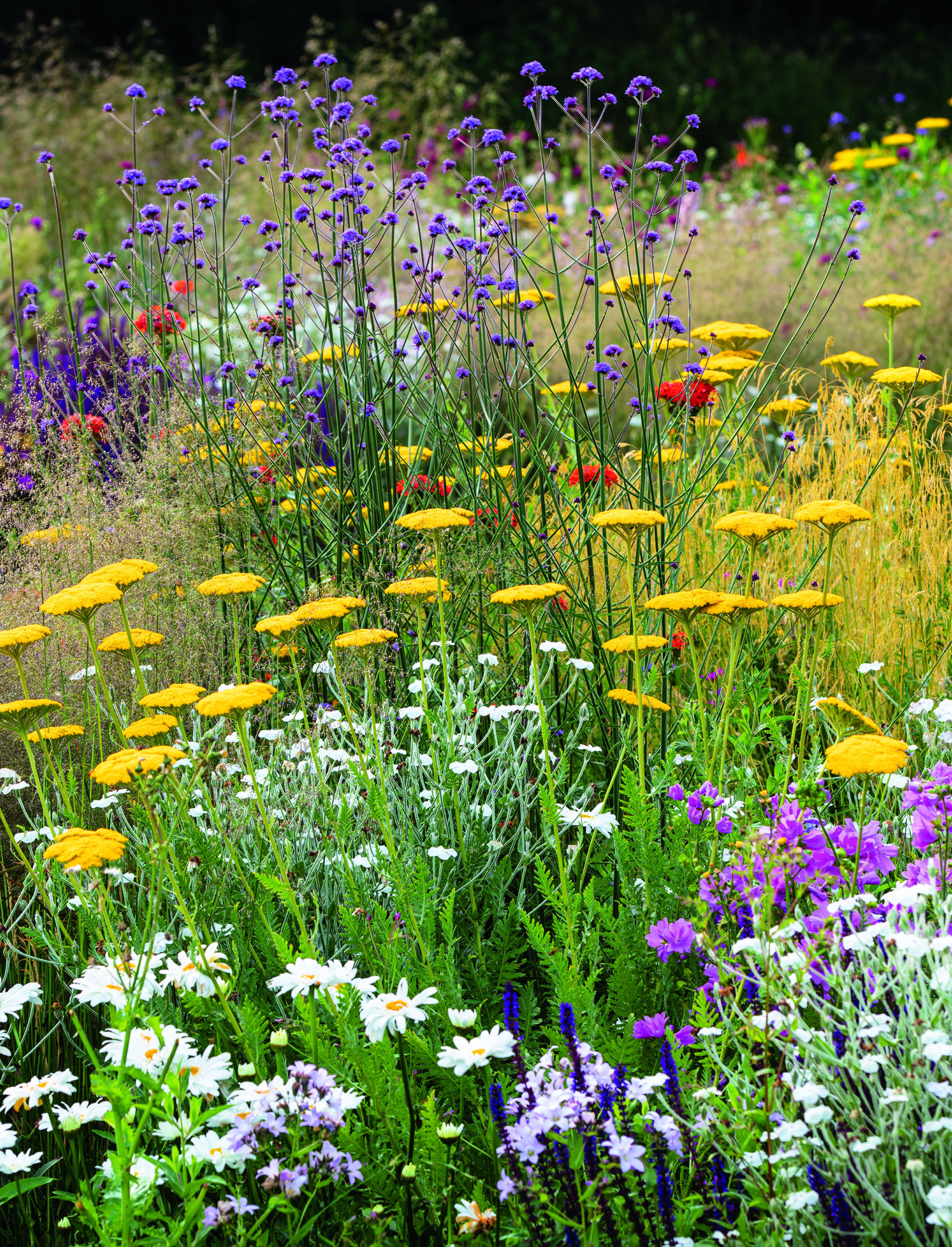 Summer Reads: This what high summer should look like in your flower beds, according to one of the world's best garden writers