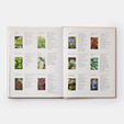 The Seasonal Gardener: Creative Planting Combinations