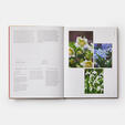 The Seasonal Gardener: Creative Planting Combinations