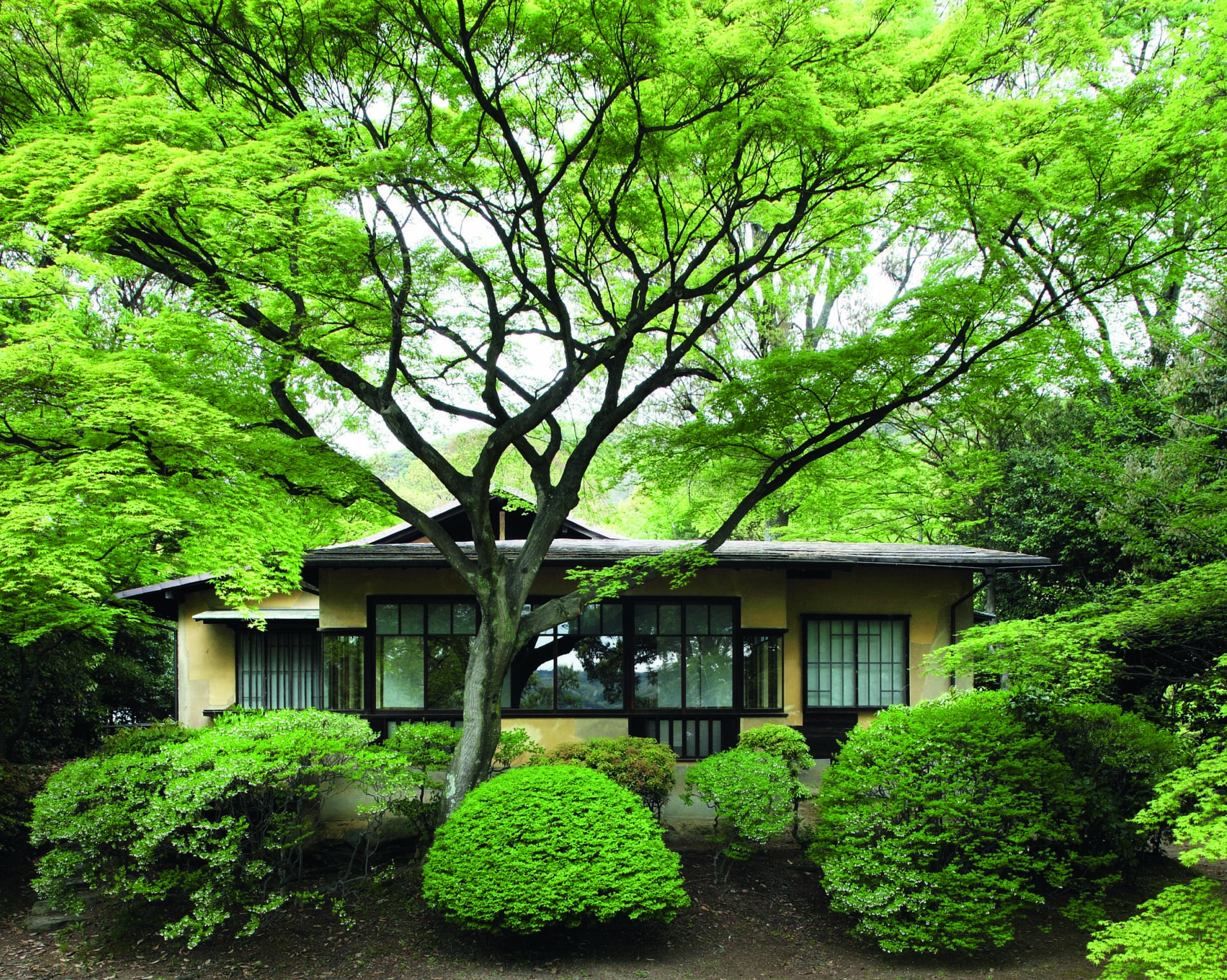 The Japanese interior where old first met new