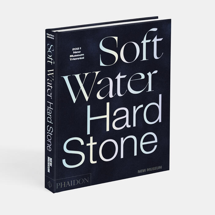 Soft Water Hard Stone, 2021 New Museum Triennial
