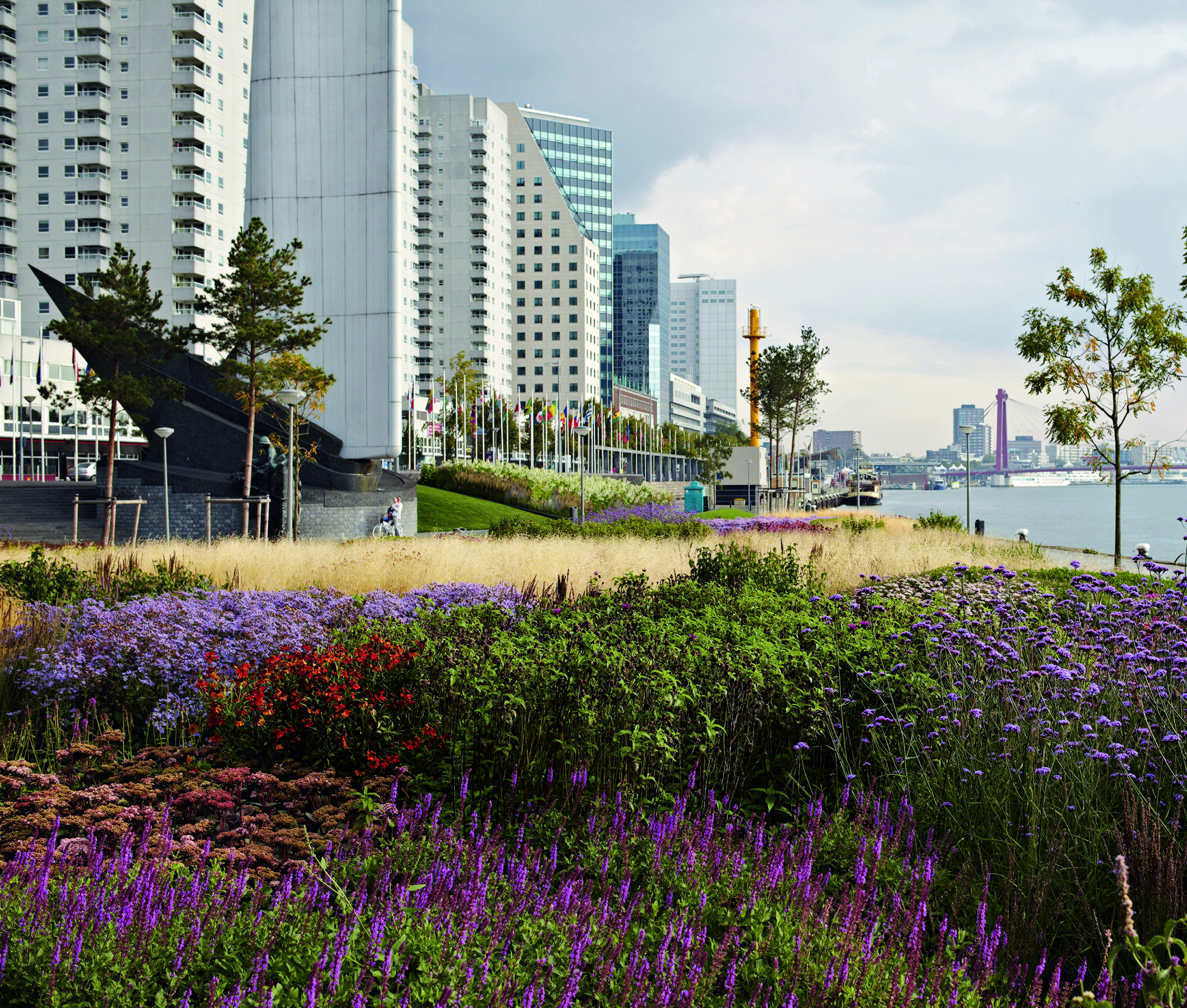 Garden star/ artist Piet Oudolf on climate change, working with starchitects and his increasingly complex planting schemes