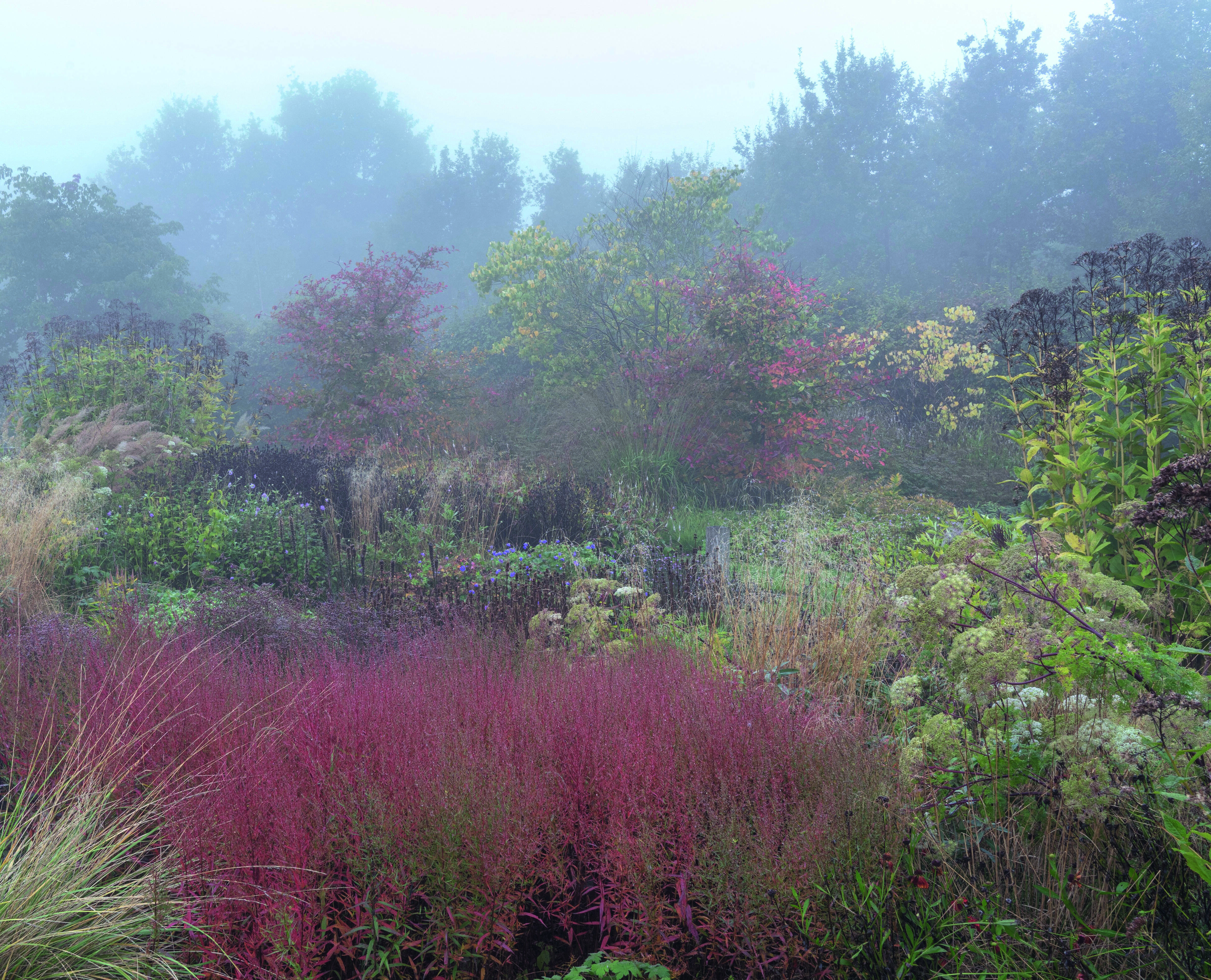 Garden star/ artist Piet Oudolf on climate change, working with starchitects and his increasingly complex planting schemes