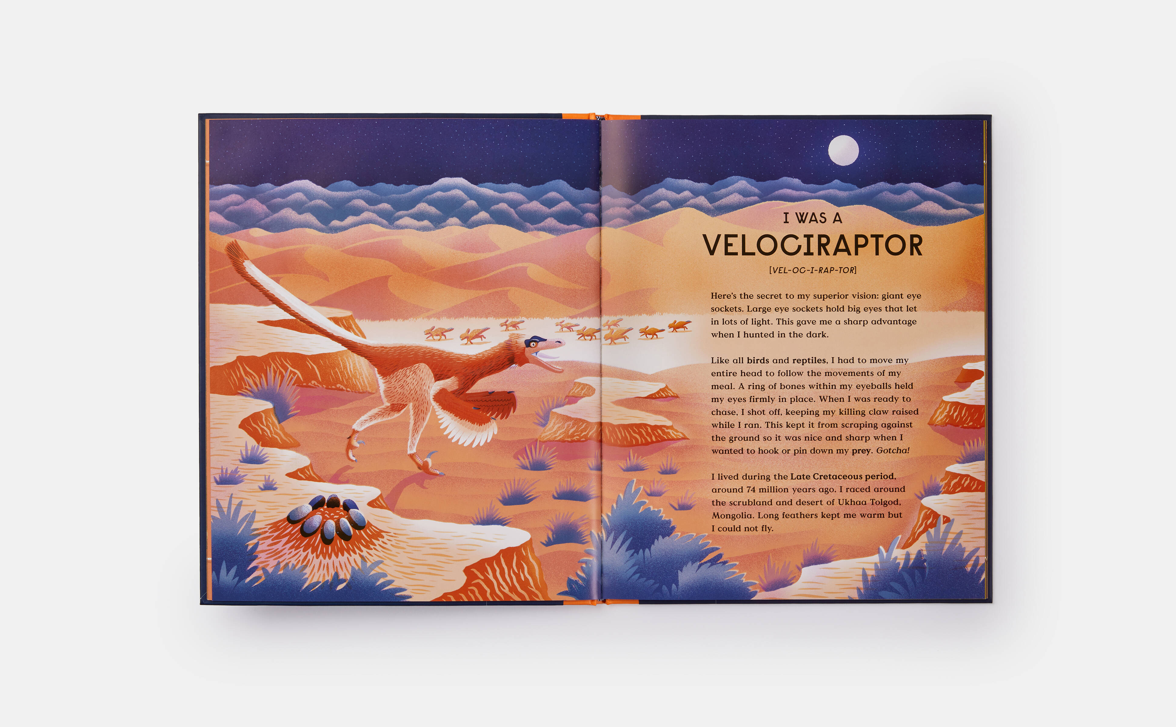 Meet the Phaidon Kids illustrator - Sam Brewster
