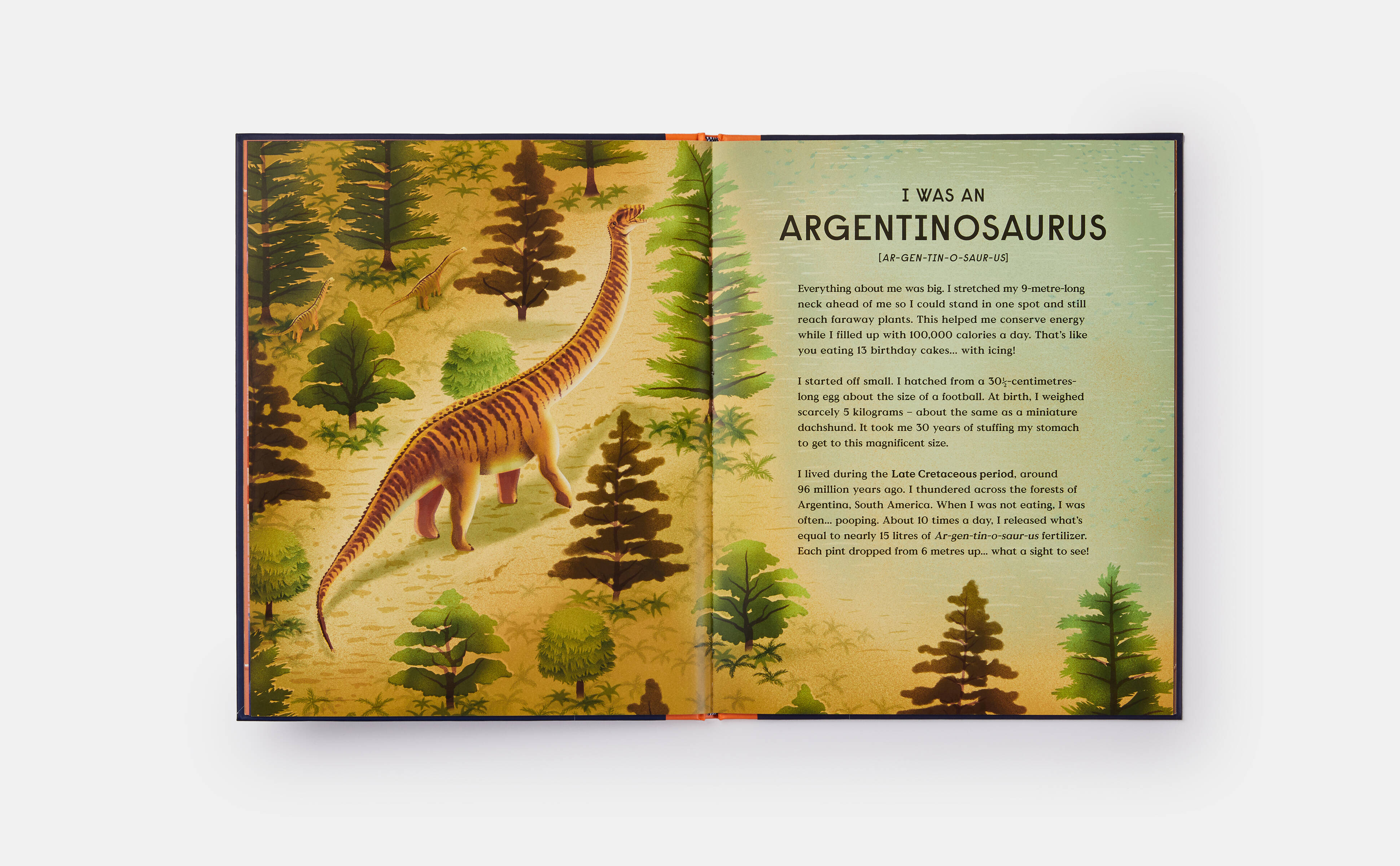 Why our Book of Dinosaurs will keep prehistoric passions alive in younger readers