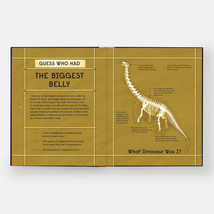 Book of Dinosaurs