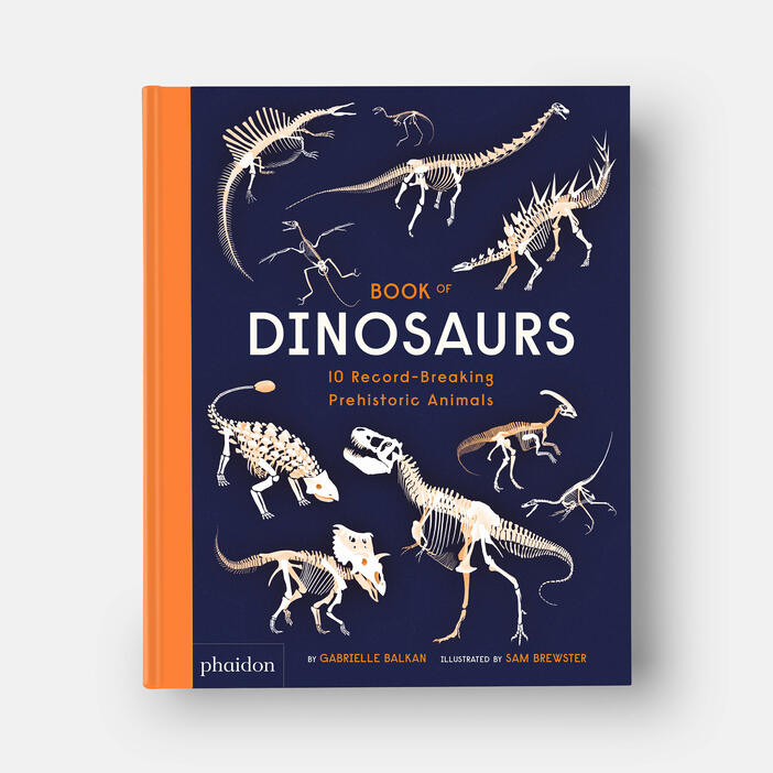 Book of Dinosaurs