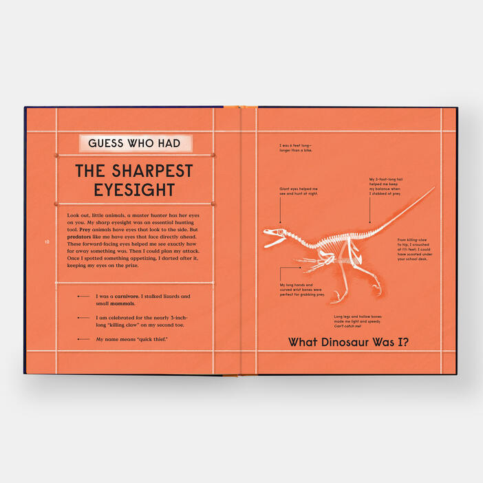Book of Dinosaurs