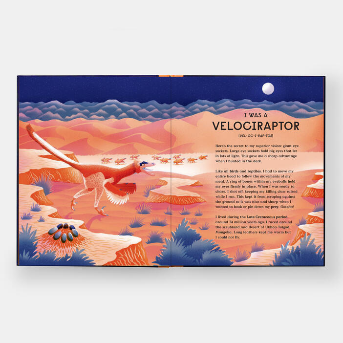 Book of Dinosaurs