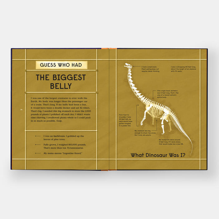 Book of Dinosaurs