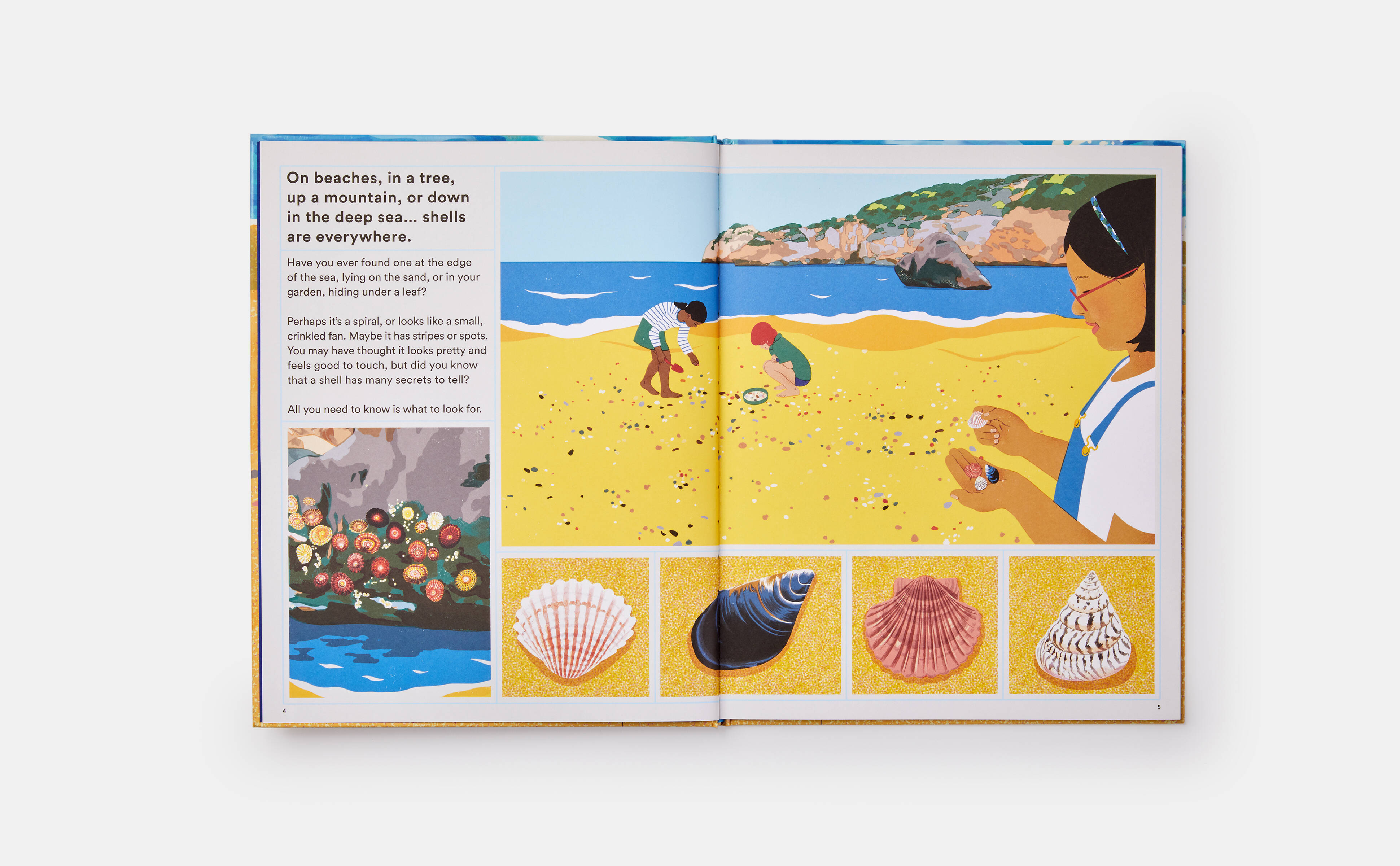Meet the Phaidon Kids illustrator - Sonia Pulido