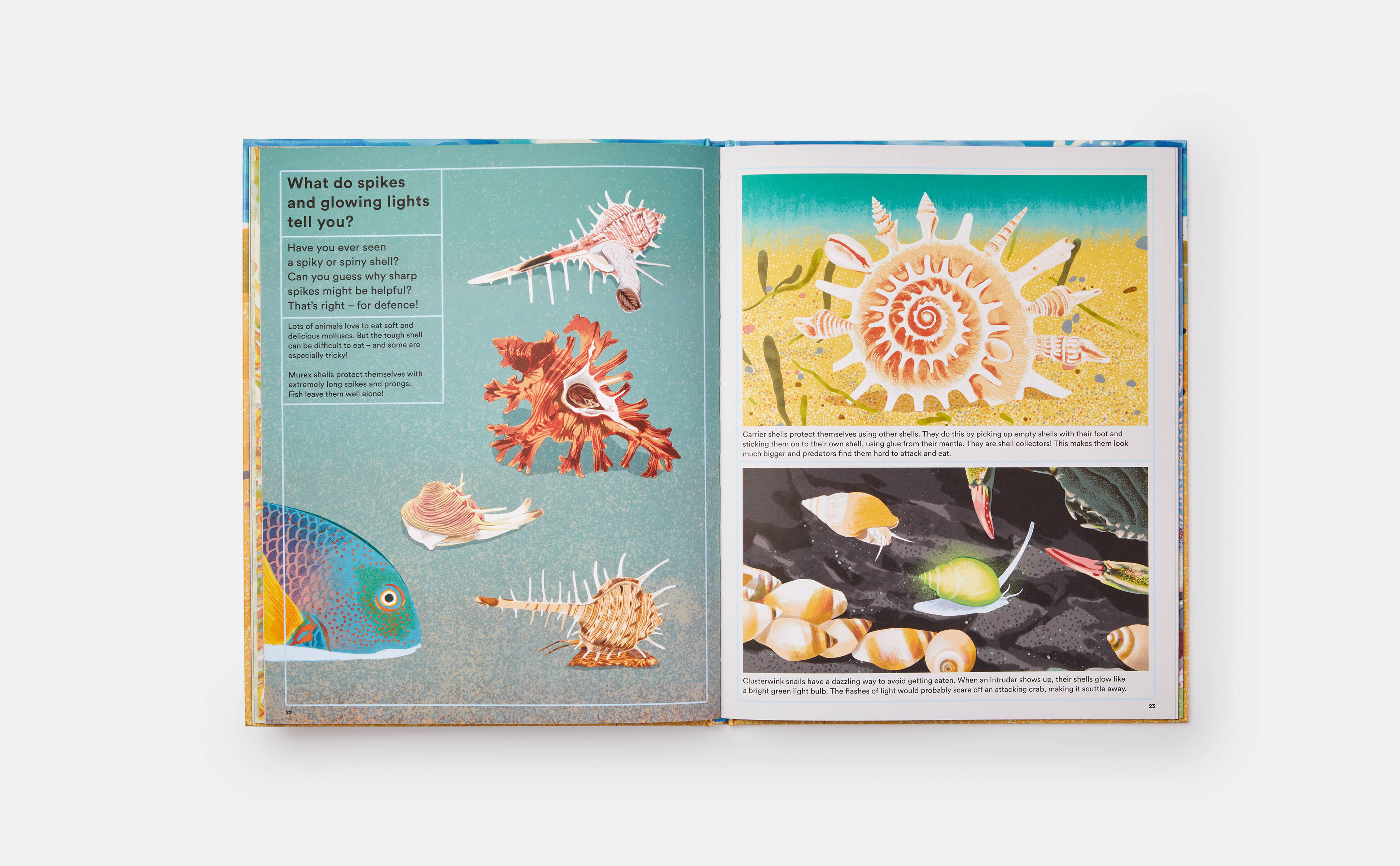 Meet the Phaidon Kids illustrator - Sonia Pulido