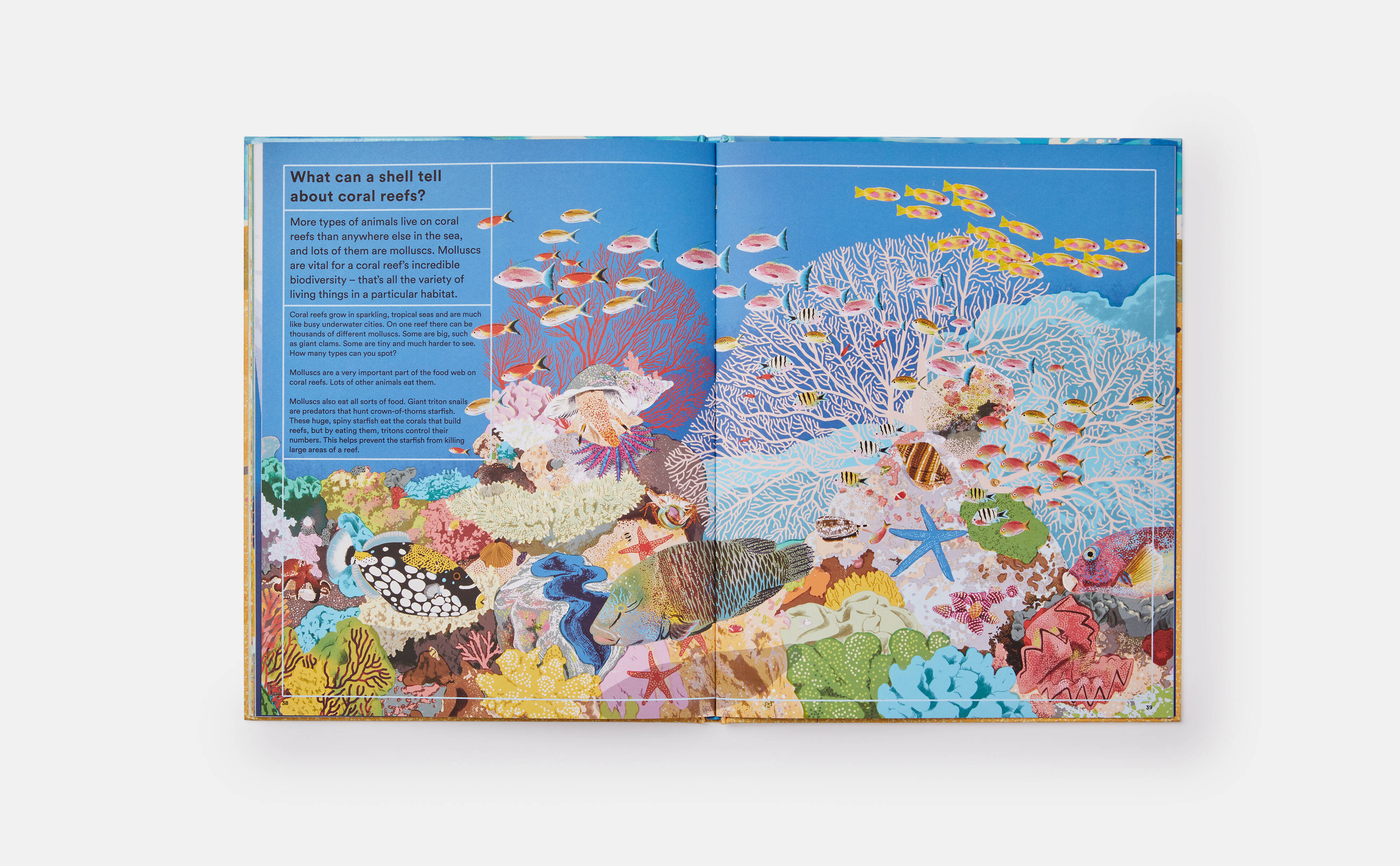 Meet the Phaidon Kids illustrator -Sonia Pulido