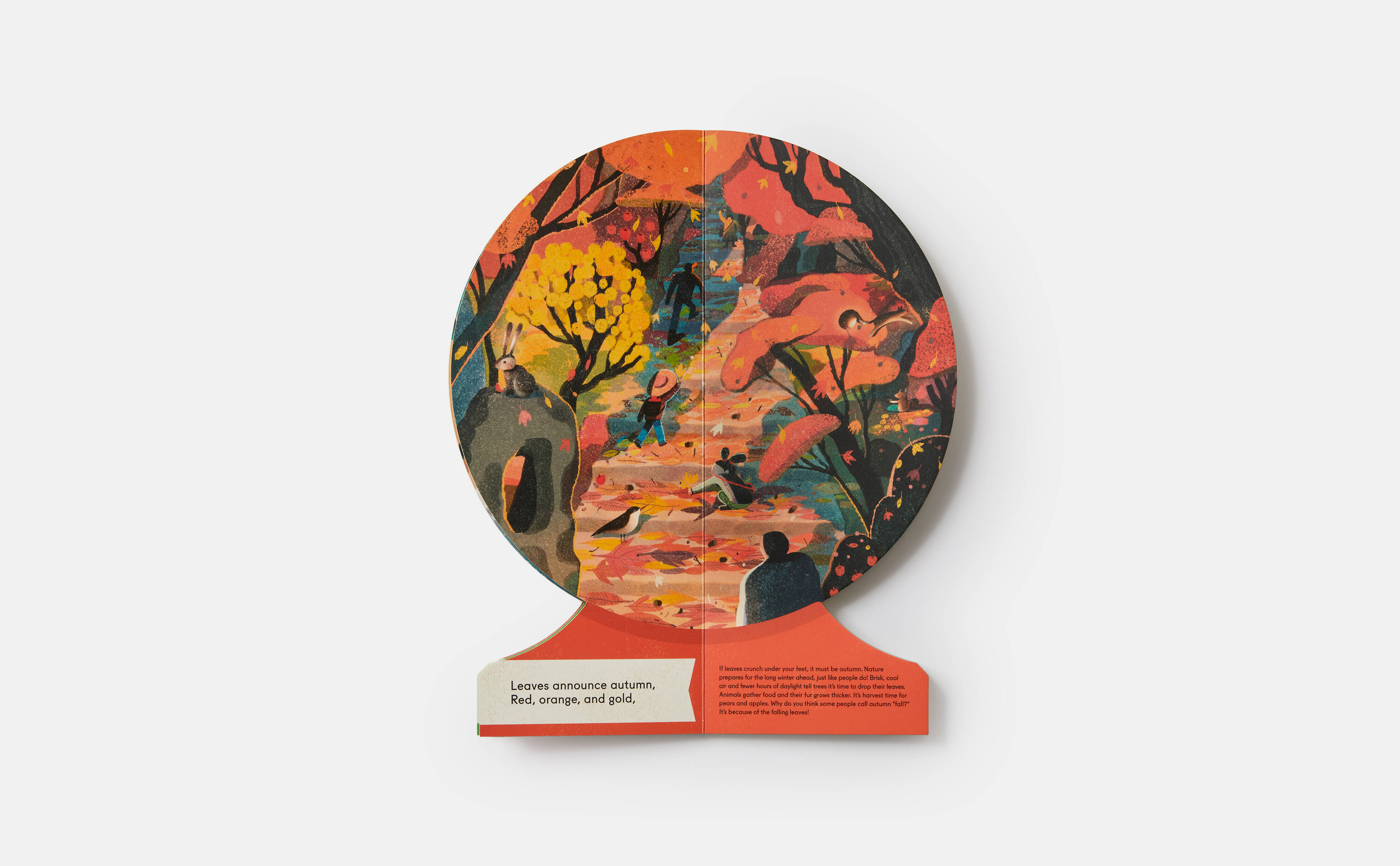 Meet the Phaidon Kids illustrator - Lisk Feng