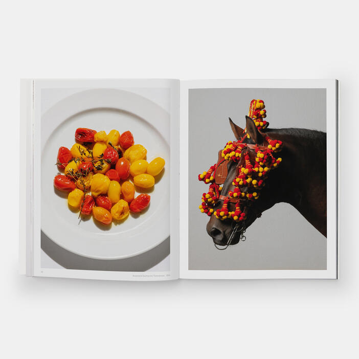 The River Cafe Look Book, Recipes for Kids of all Ages