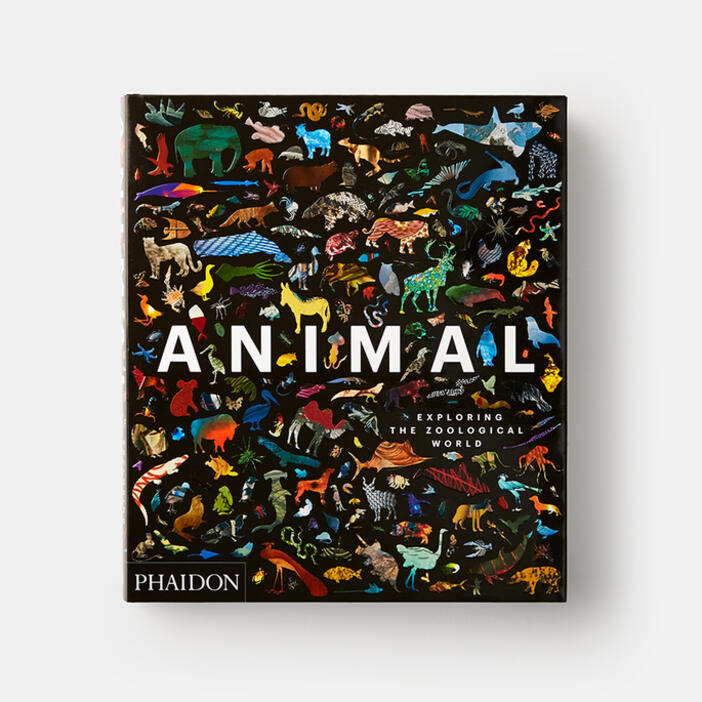 The Phaidon Explorer Collection