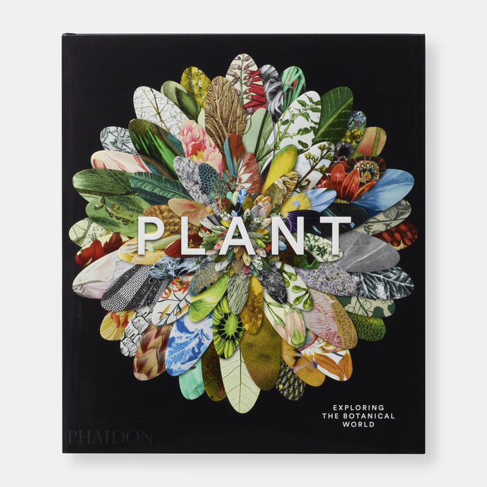 The Phaidon Explorer Collection