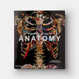 The Phaidon Explorer Collection