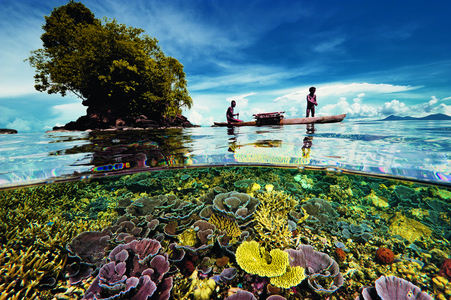 David Doubilet, Father and Son, Kimbe Bay, Papua New Guinea, 2013.