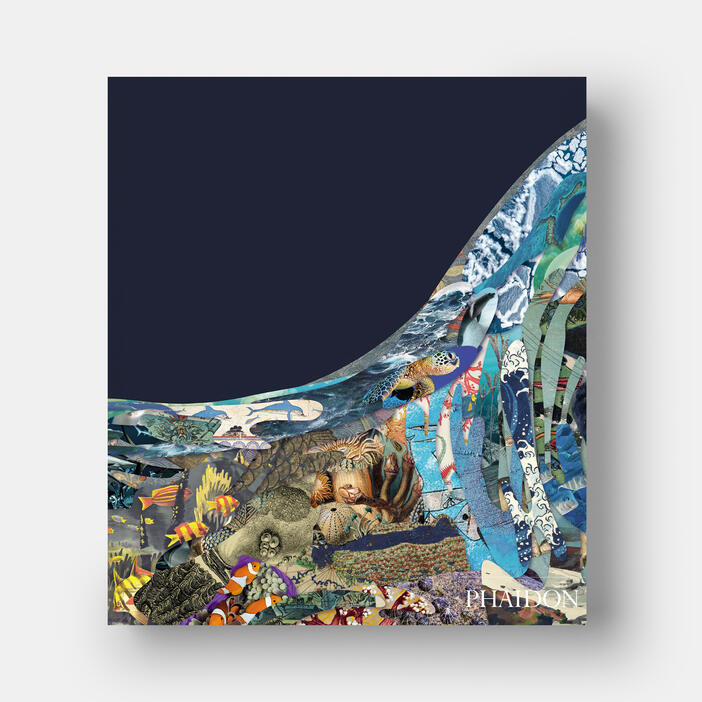 Ocean, Exploring the Marine World