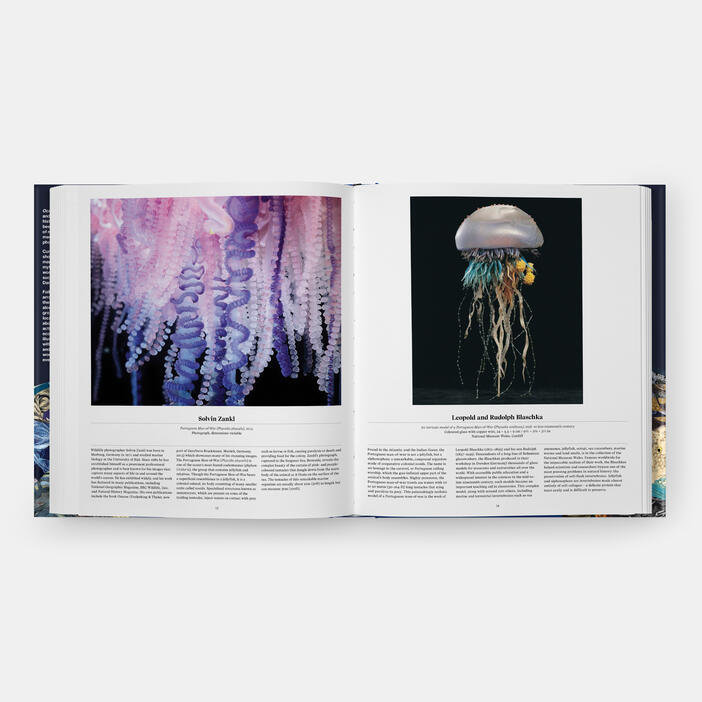 Ocean, Exploring the Marine World