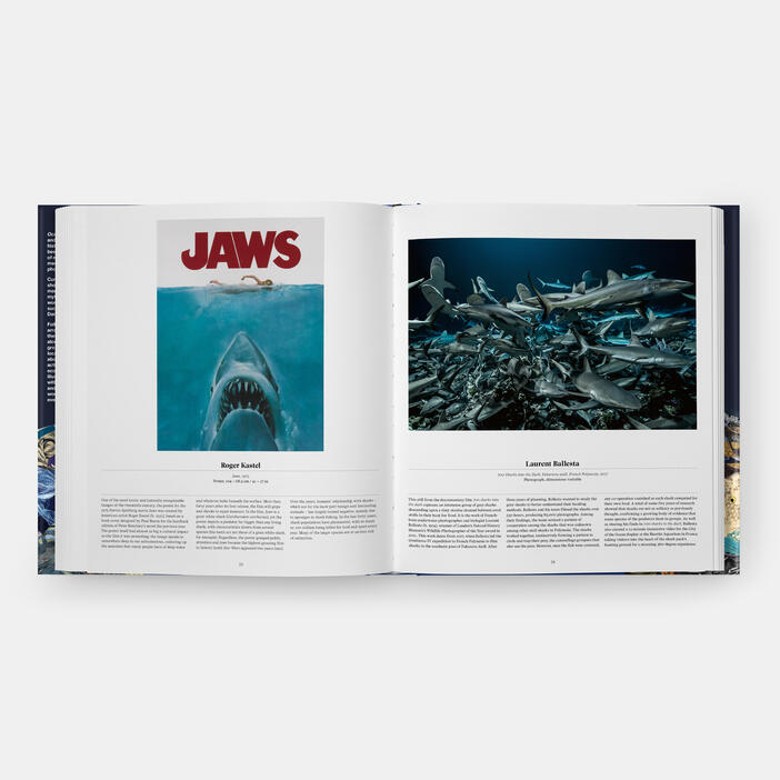 Ocean, Exploring the Marine World