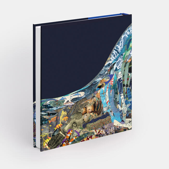 Ocean, Exploring the Marine World