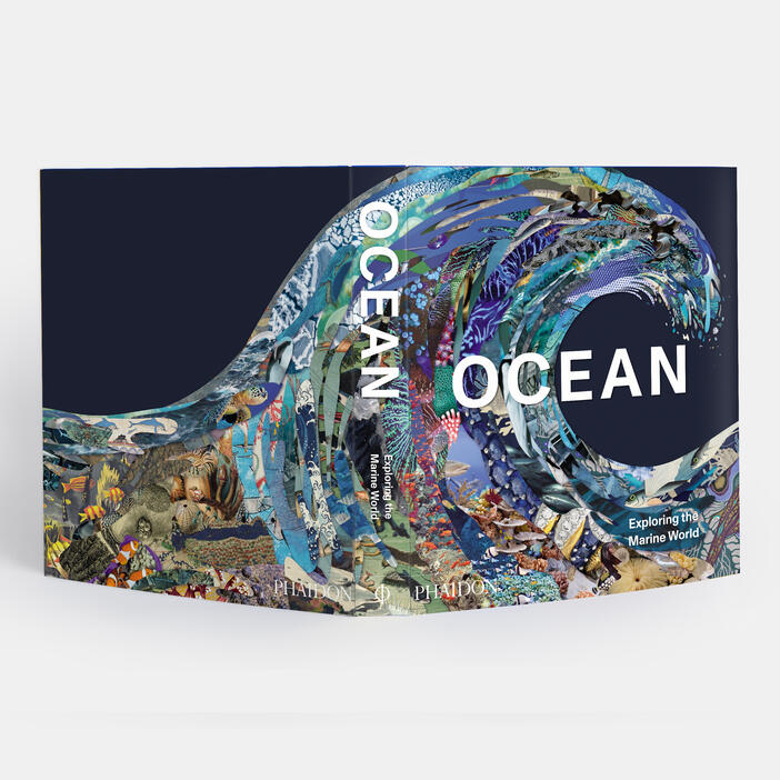 Ocean, Exploring the Marine World