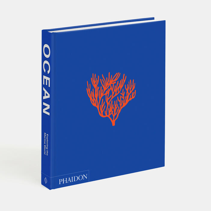 Ocean, Exploring the Marine World