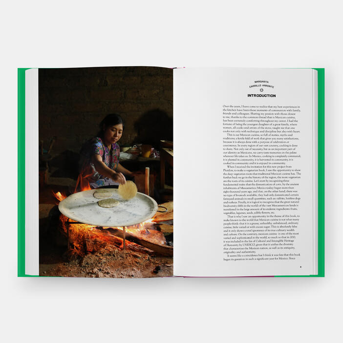 The Mexican Vegetarian Cookbook