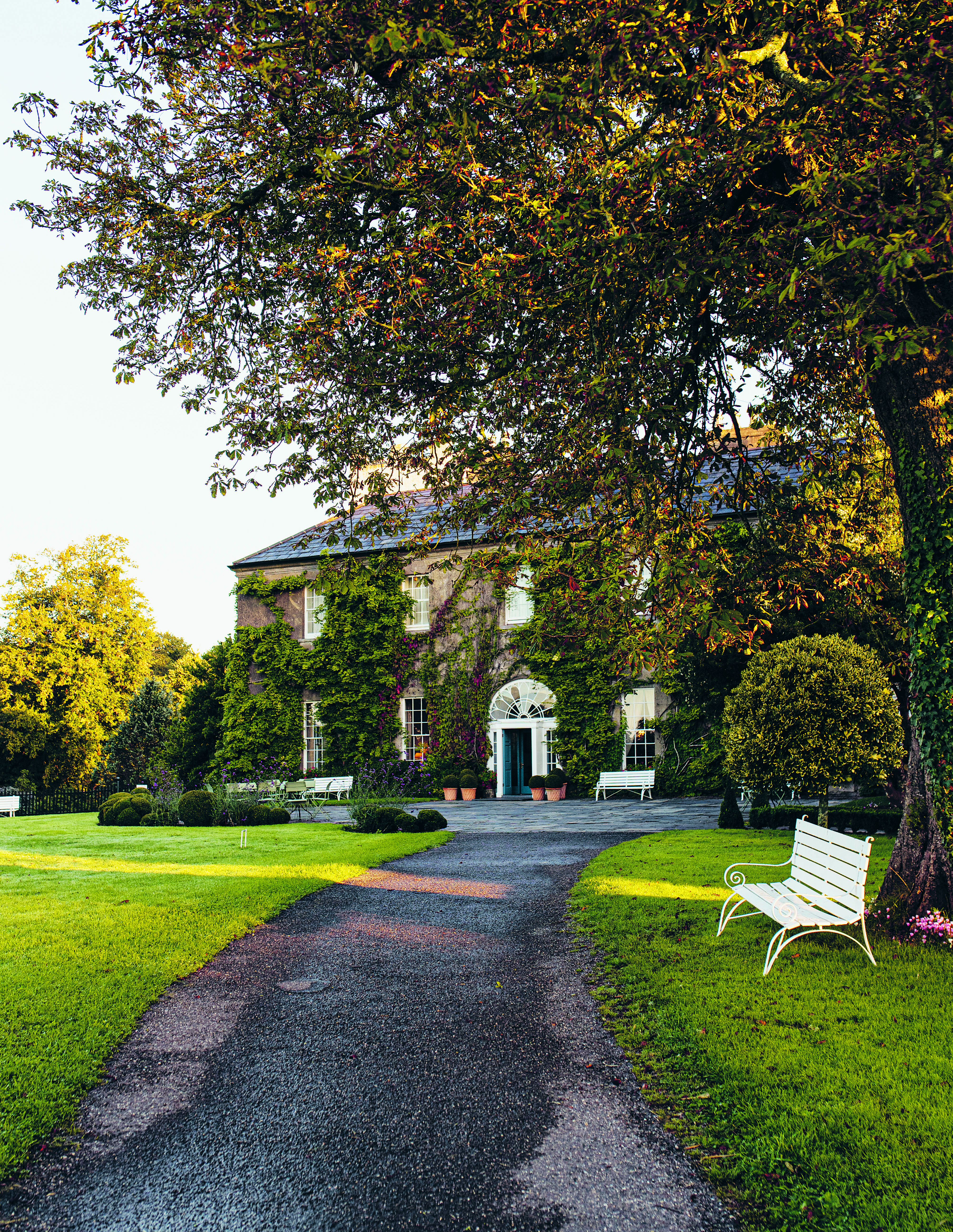 The hugely talented young chef behind Ballymaloe Desserts