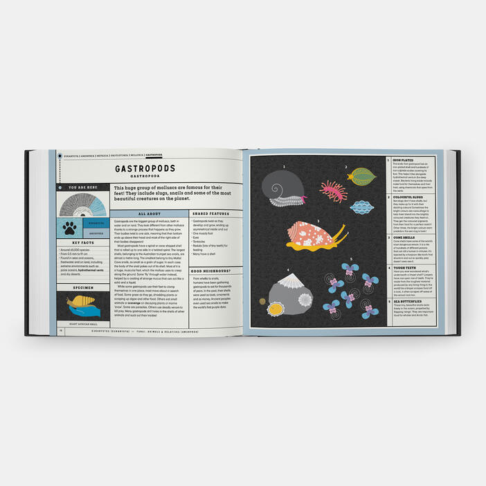 Full of Life, Exploring Earth's Biodiversity