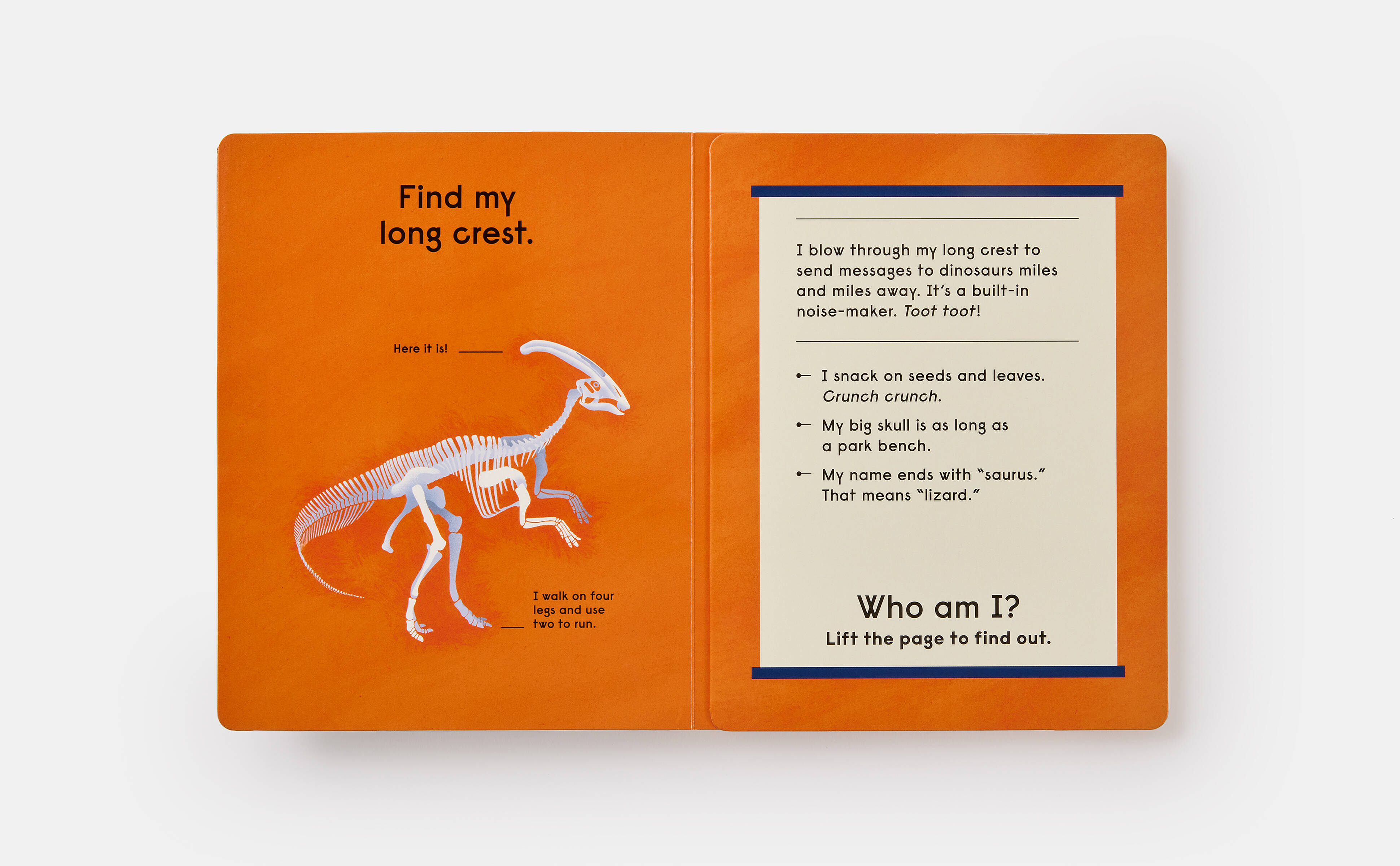 Meet the Phaidon Kids illustrator - Sam Brewster