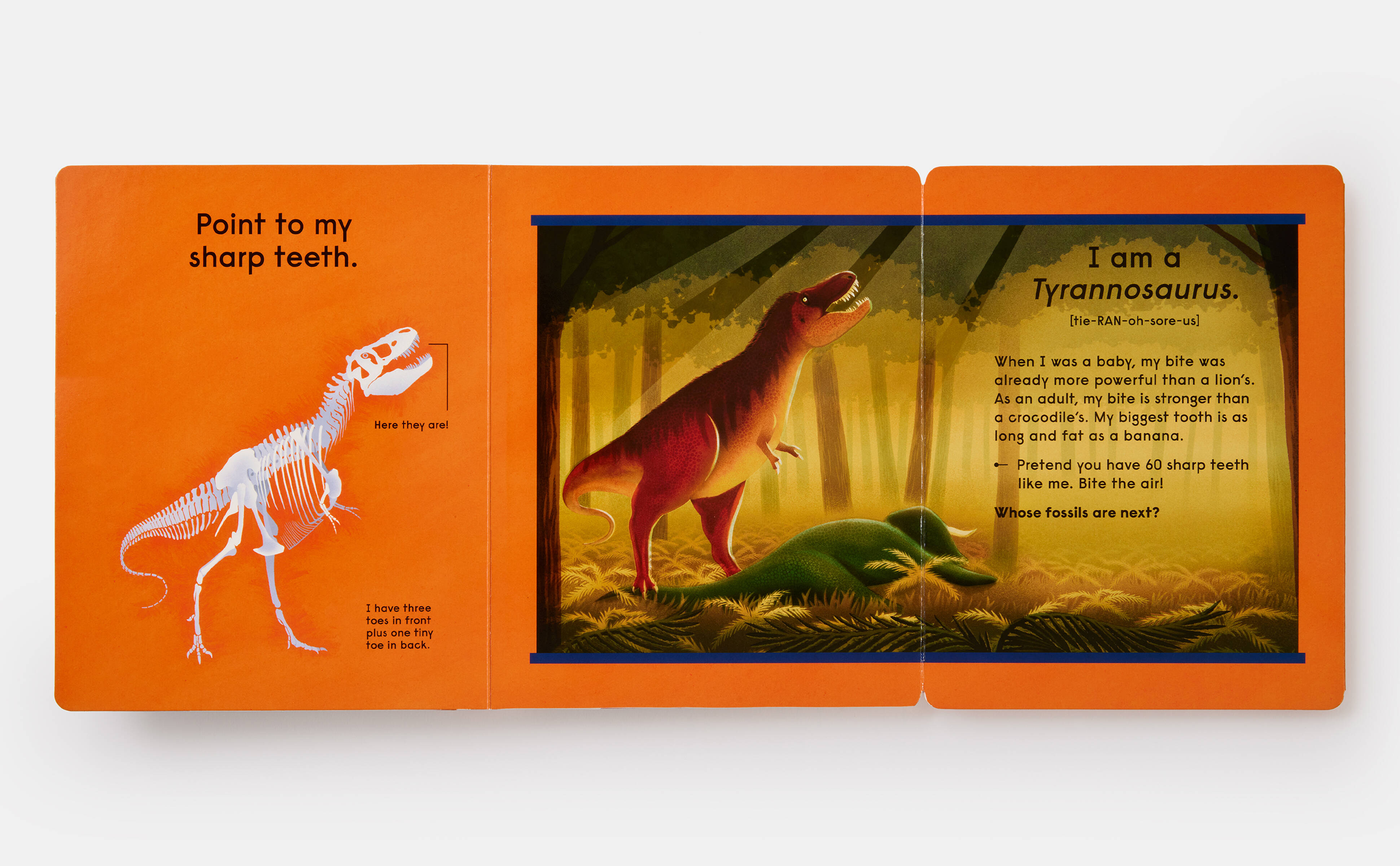 Meet the Phaidon Kids illustrator - Sam Brewster